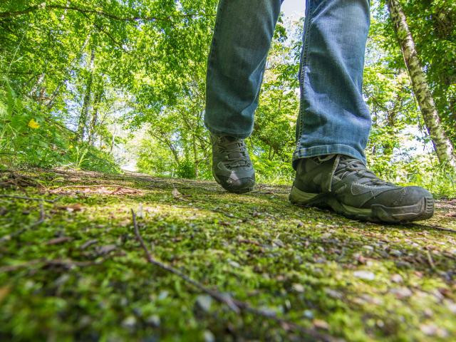 Rando à Notre Dame de Verdale