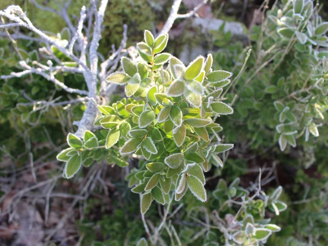 Ambiance hivernale sur le Lot
